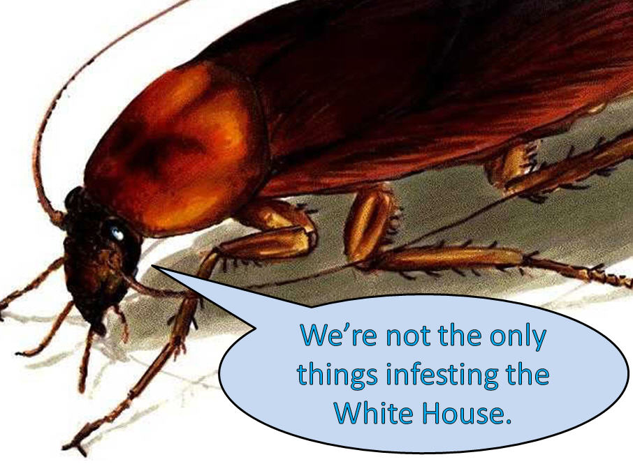 Bugged: Obama's Roach Problem | Bloviating Zeppelin