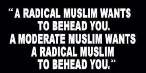 Muslim Radical vs Moderate