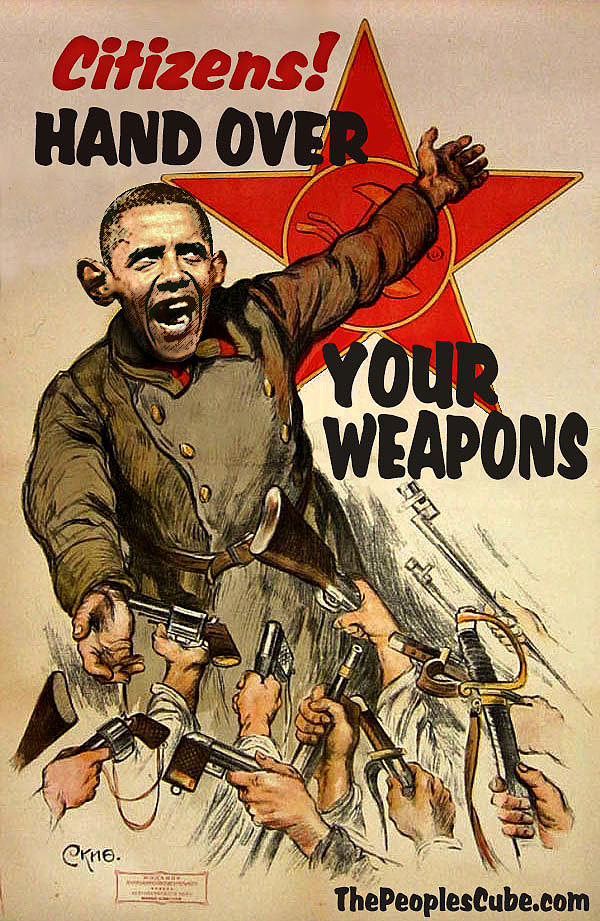 Obama Gun Confiscation