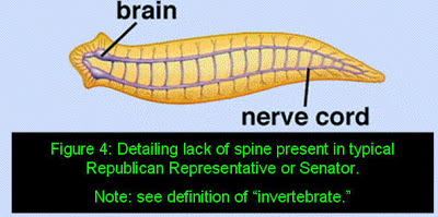 GOP Invertebrate